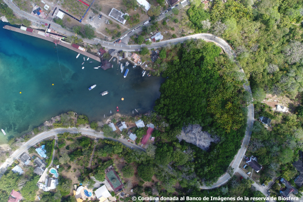 Bahía cove 2